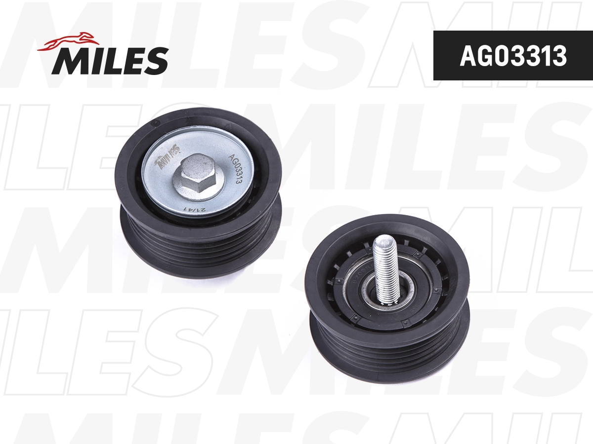 AG03313