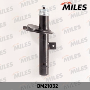 DM21032