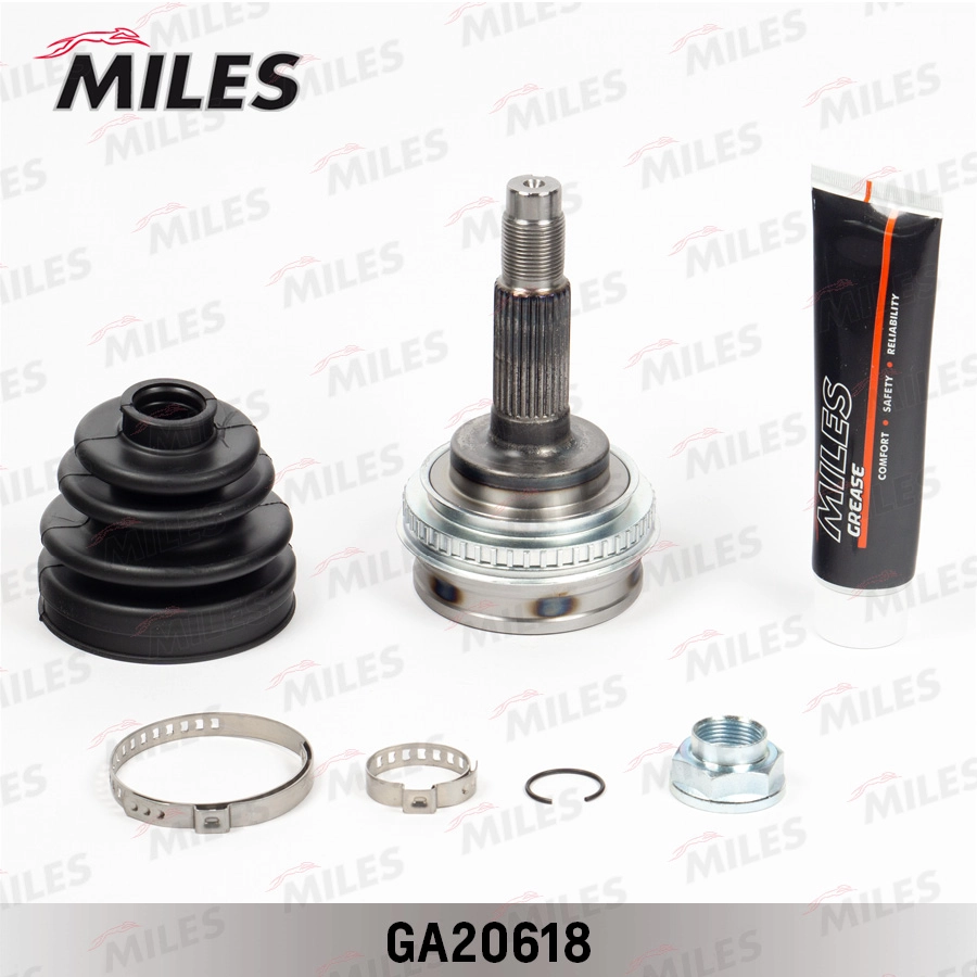 GA20618