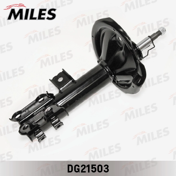 DG21503