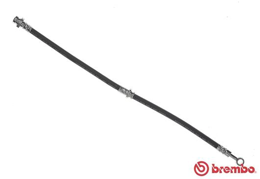 T3002