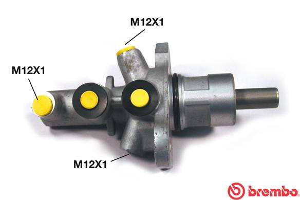 M 06 019