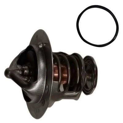 TOPT3106005