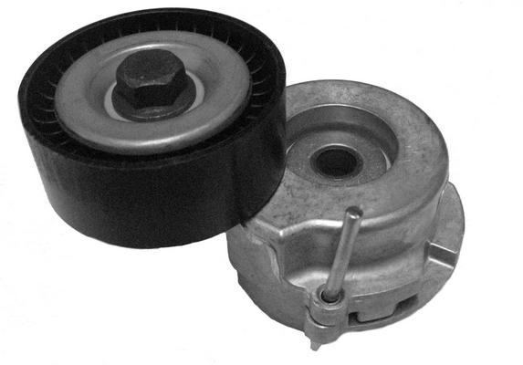 CT1003