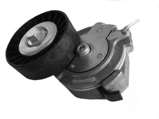 CT1004