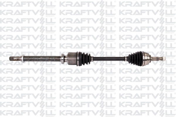 8200613827