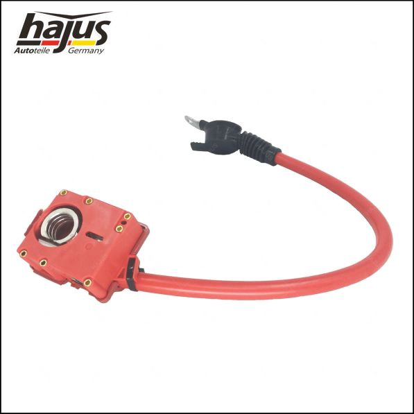 hajus Autoteile 9191251