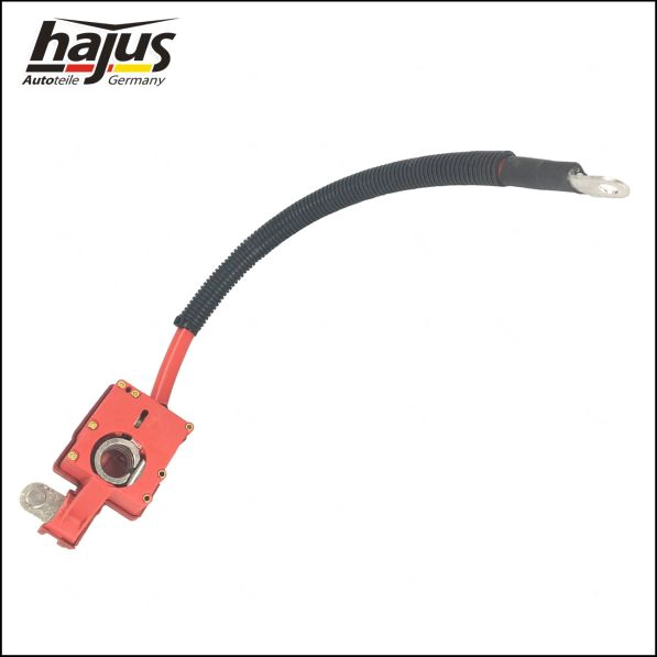 hajus Autoteile 9191254