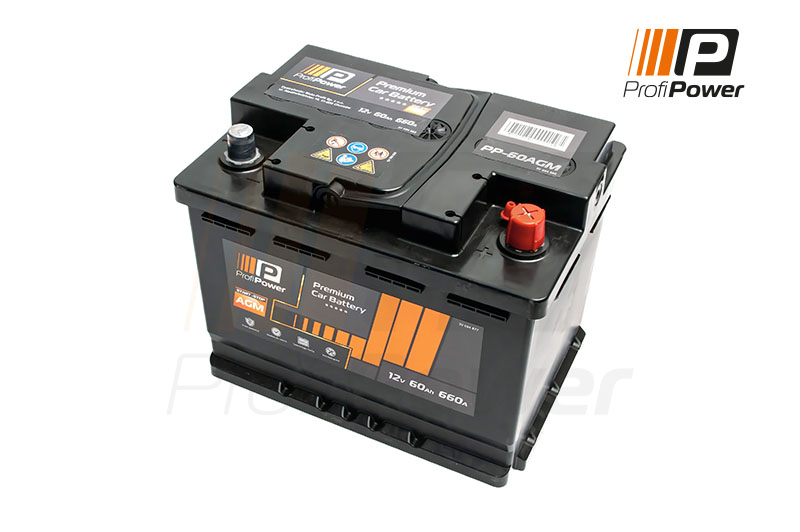ProfiPower PP-600 AGM