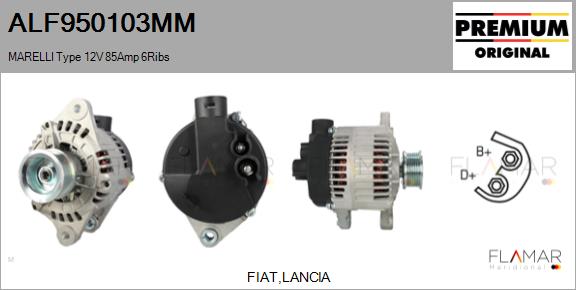 ALF950103MM