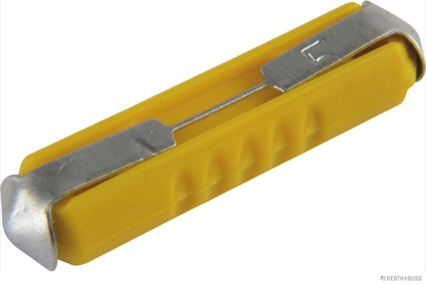 5003538