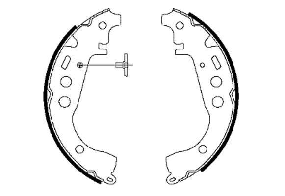 MSK231