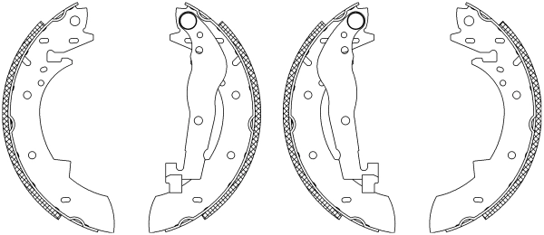 MSK013