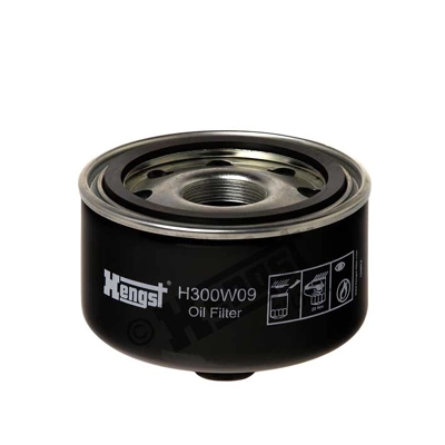 H300W09