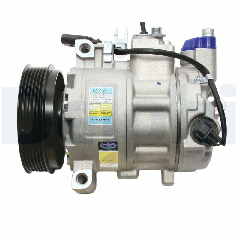 CS20081