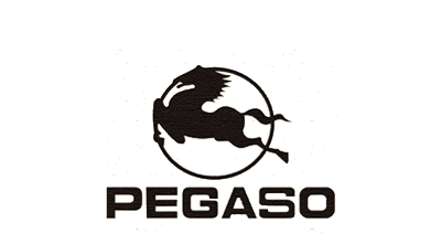 PEGASO